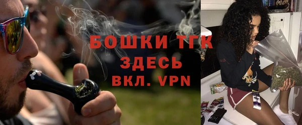 бошки Заводоуковск