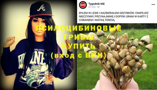 бошки Заводоуковск