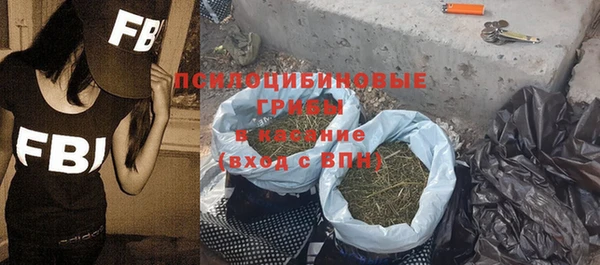 бошки Заводоуковск