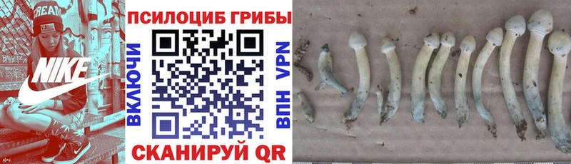 Галлюциногенные грибы ЛСД  Купить закладки  Звенигород 